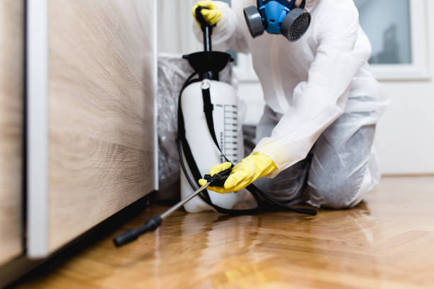 Best Mosquito Control Services  in Valle Vista, AZ