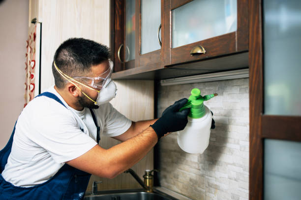 Best Residential Pest Control  in Valle Vista, AZ
