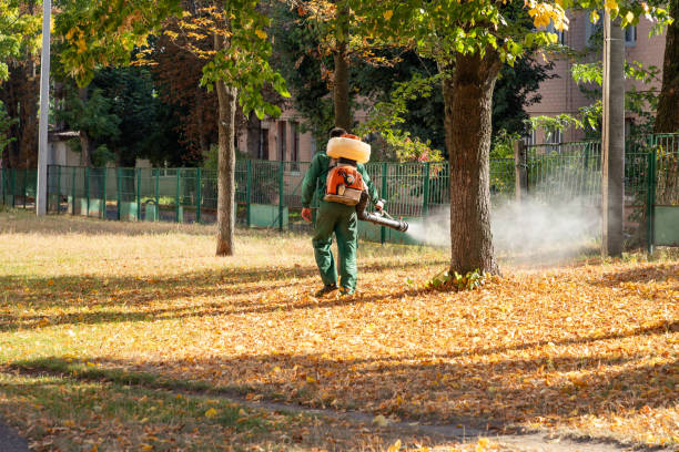 Best Pest Prevention Services  in Valle Vista, AZ