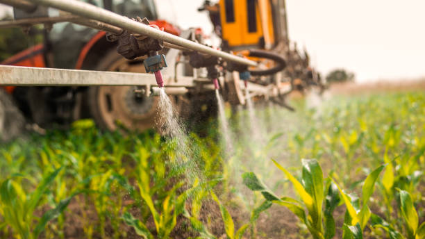 Best Mosquito Control Services  in Valle Vista, AZ
